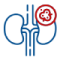 Kidney-cancer.png