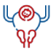 Prostate-cancer.png
