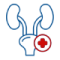 Ureteral-Cancer.png