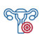 gynacicon7