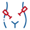 gynacicon8