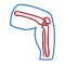 orthoicon12.png