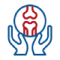 orthoicon14.png