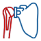 orthoicon2.png