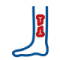 orthoicon7-1.png