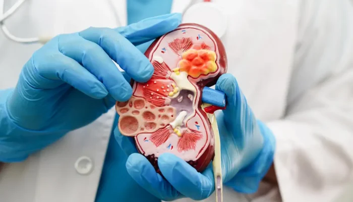 urology1-1.webp