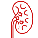 Gall bladder kidney
