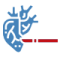 Coronary Artery Bypass Grafting (CABG)