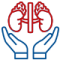 kidney care